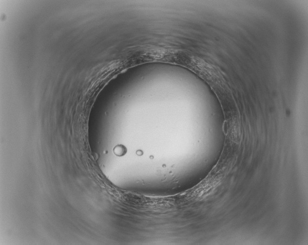 X0000059831105200510241414