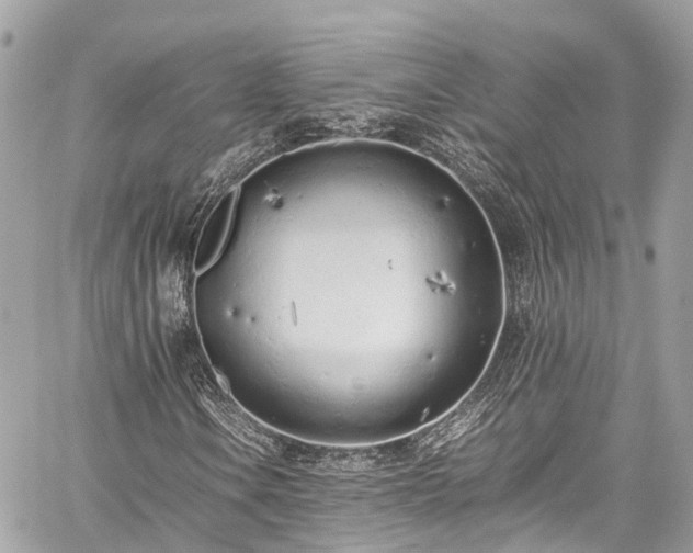 X0000059831106200510241414