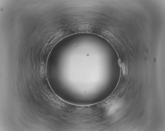 X0000059831107200510241414