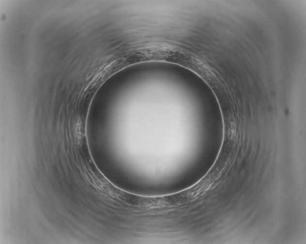 X0000059831108200510241414