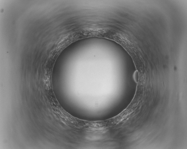 X0000059831109200510241414