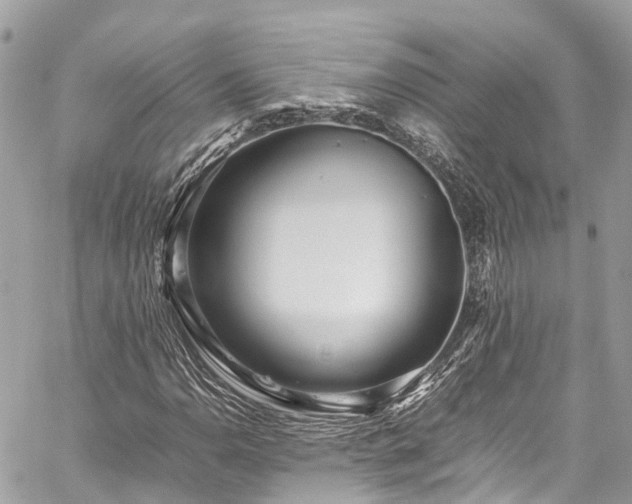 X0000059831110200510241414