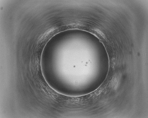 X0000059831111200510241414