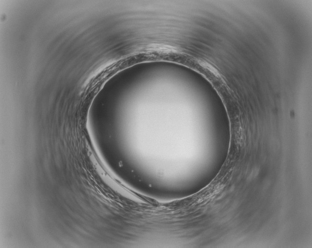 X0000059831112200510241414