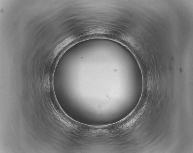 X0000059831113200510241414