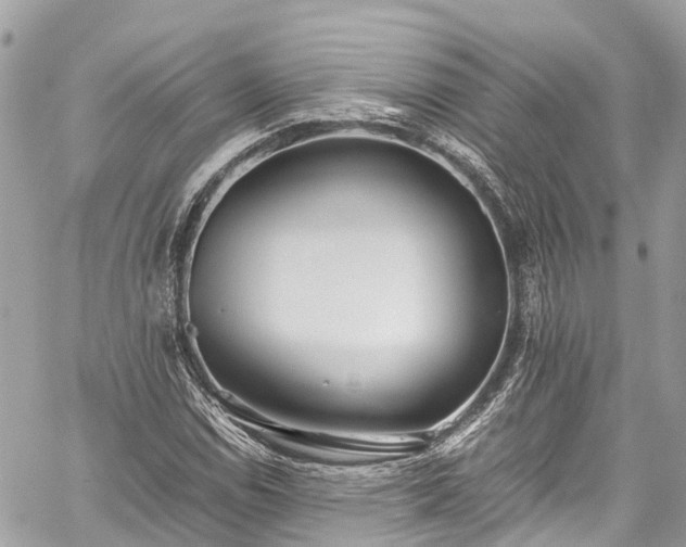 X0000059831114200510241414