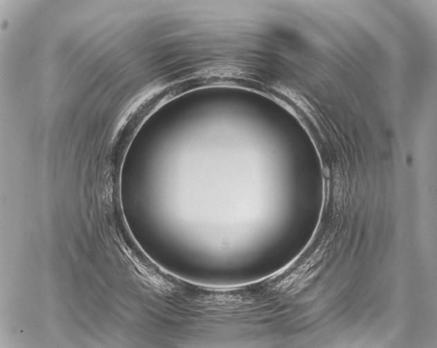 X0000059831115200510241414