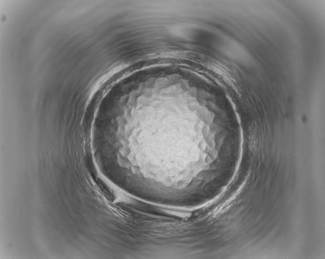 X0000059831117200510241414