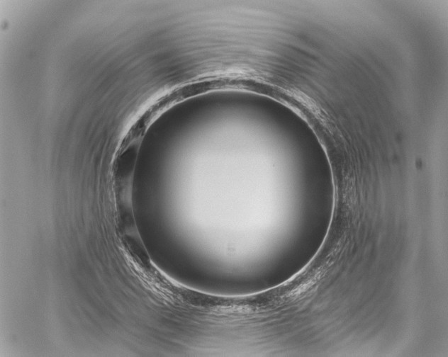 X0000059831118200510241414