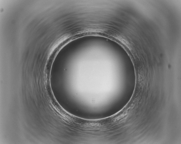 X0000059831119200510241414