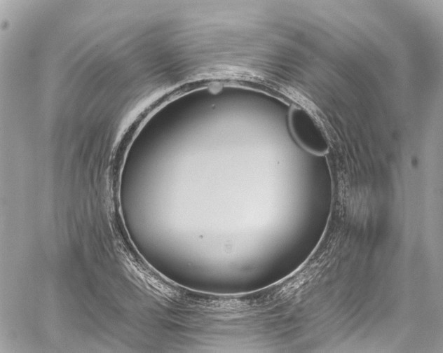 X0000059831120200510241414