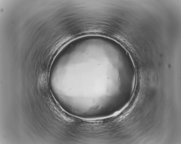 X0000059831121200510241414