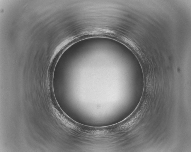 X0000059831122200510241414