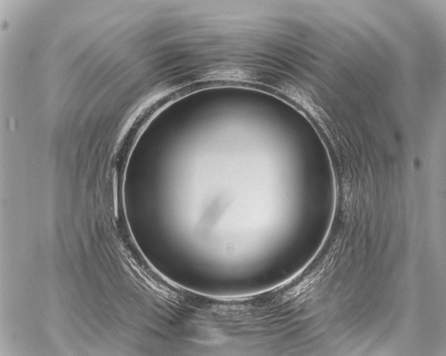 X0000059831123200510241414