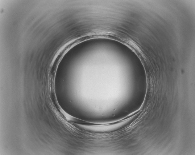 X0000059831124200510241414