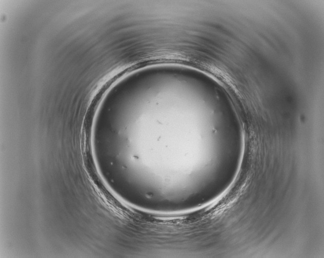 X0000059831125200510241414