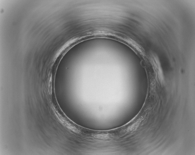 X0000059831126200510241414