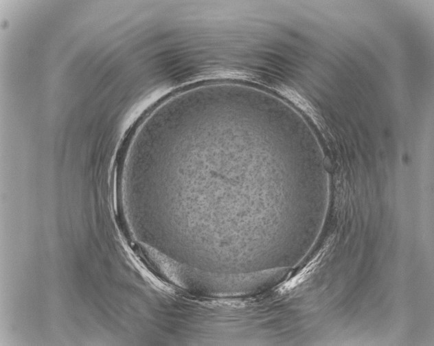 X0000059831127200510241414