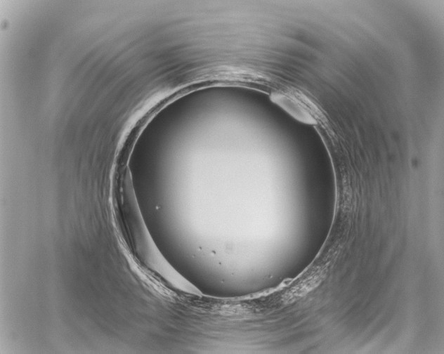 X0000059831128200510241414