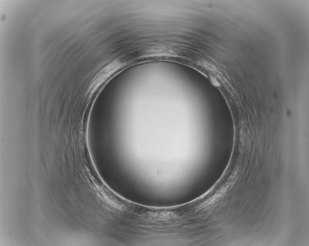 X0000059831129200510241414