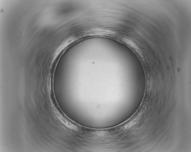 X0000059831130200510241414