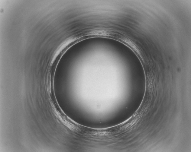 X0000059831131200510241414