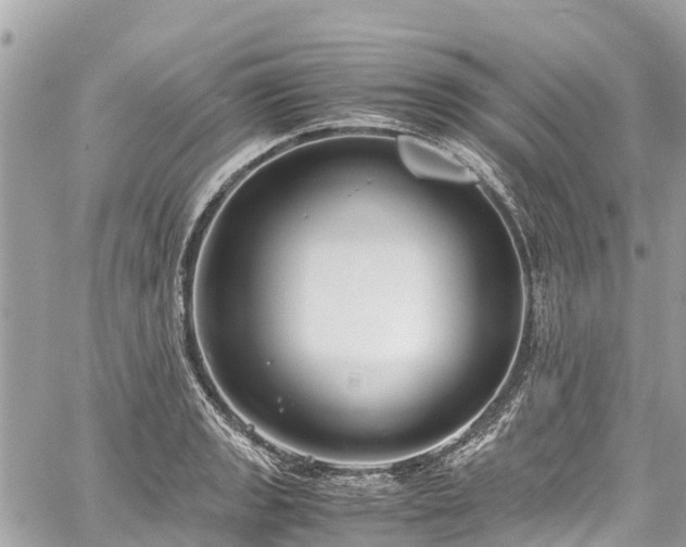 X0000059831133200510241414