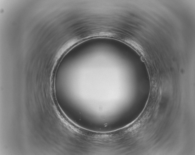 X0000059831135200510241414