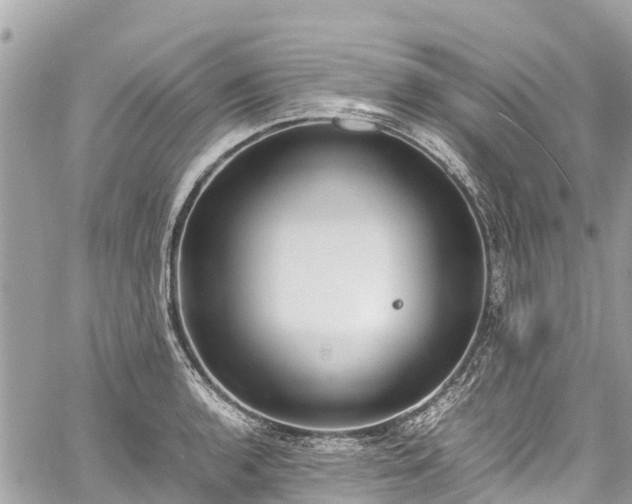 X0000059831136200510241414