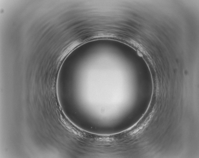 X0000059831137200510241414