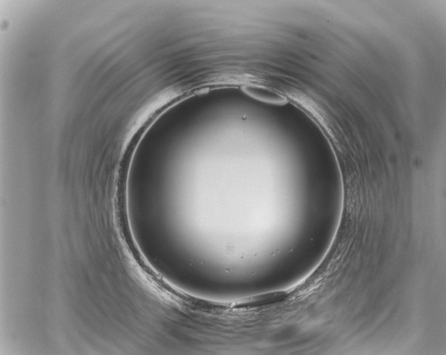 X0000059831139200510241414