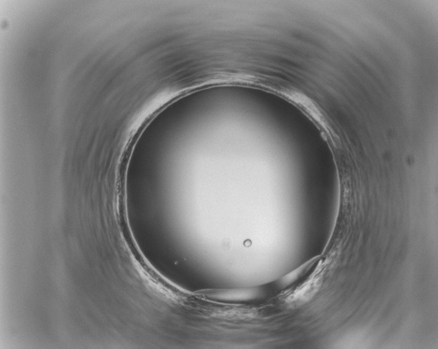 X0000059831143200510241414