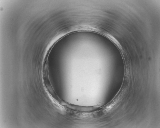 X0000059831144200510241414