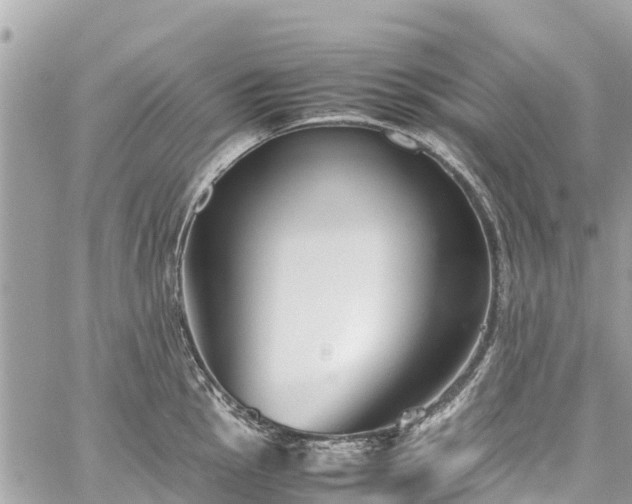 X0000059831145200510241414