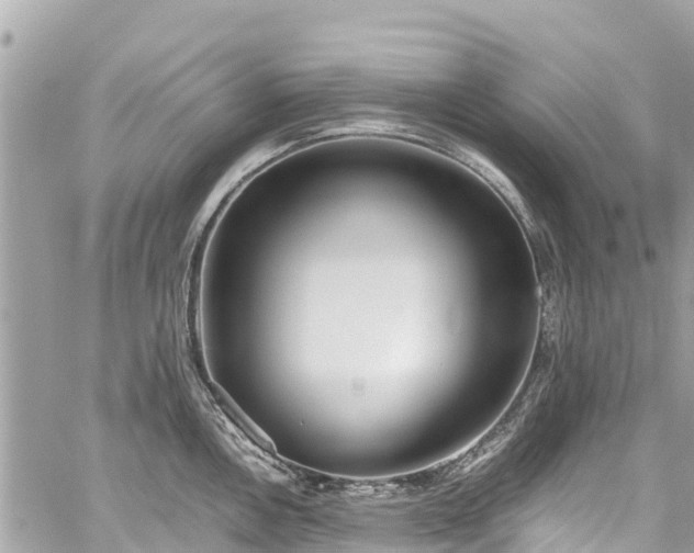 X0000059831146200510241414