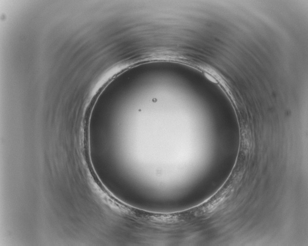 X0000059831147200510241414