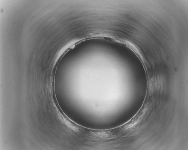 X0000059831149200510241414