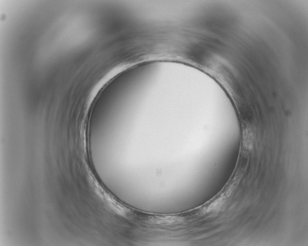 X0000059831150200510241414