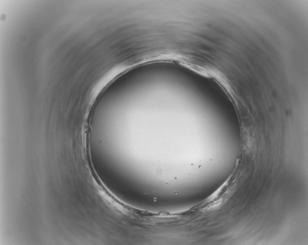 X0000059831151200510241414