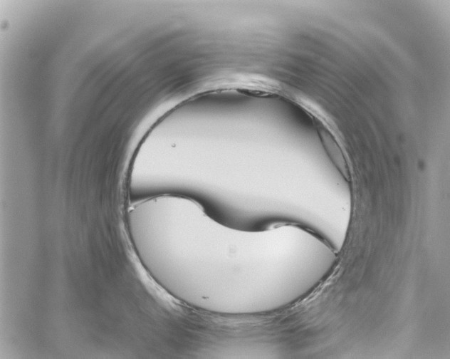 X0000059831152200510241414