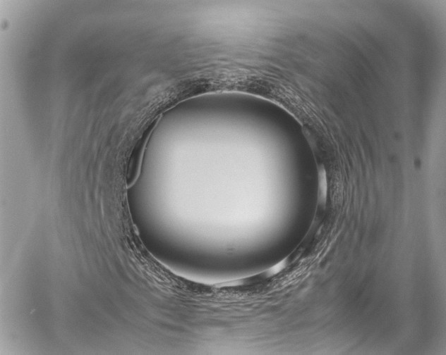 X0000059831153200510241414