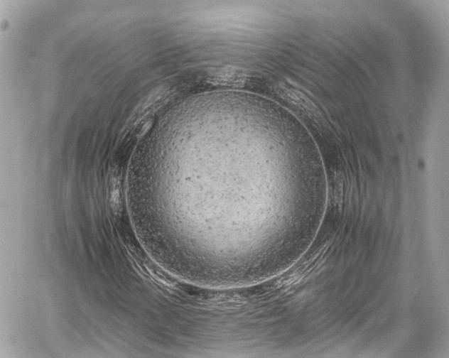 X0000059831154200510241414