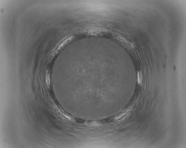 X0000059831155200510241414