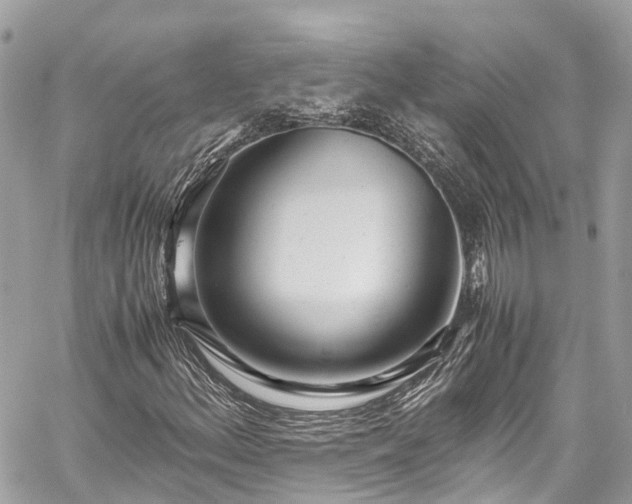 X0000059831156200510241414