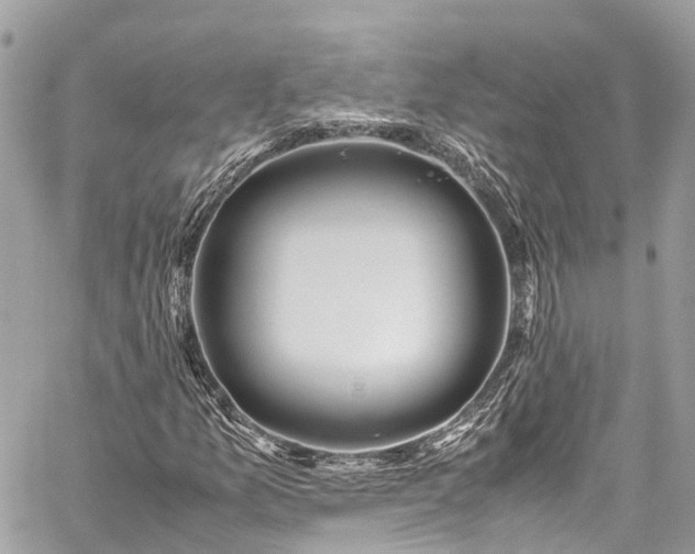 X0000059831157200510241414