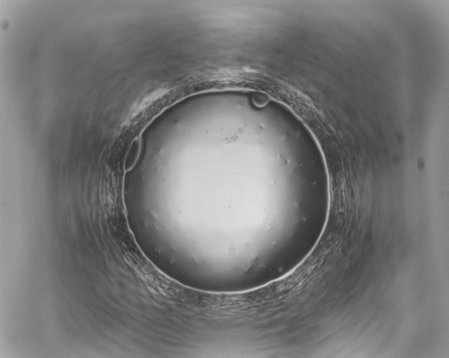 X0000059831158200510241414