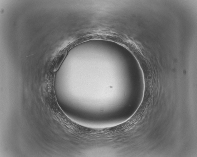 X0000059831159200510241414