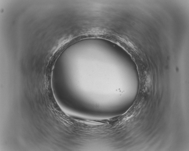 X0000059831160200510241414