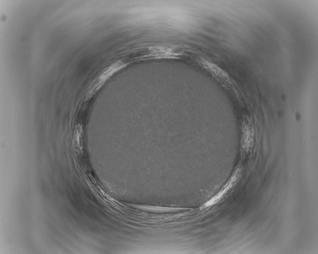 X0000059831161200510241413