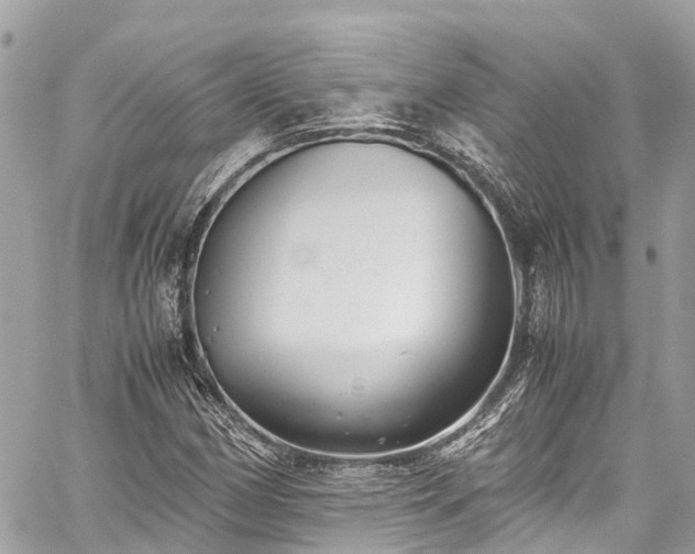 X0000059831162200510241413